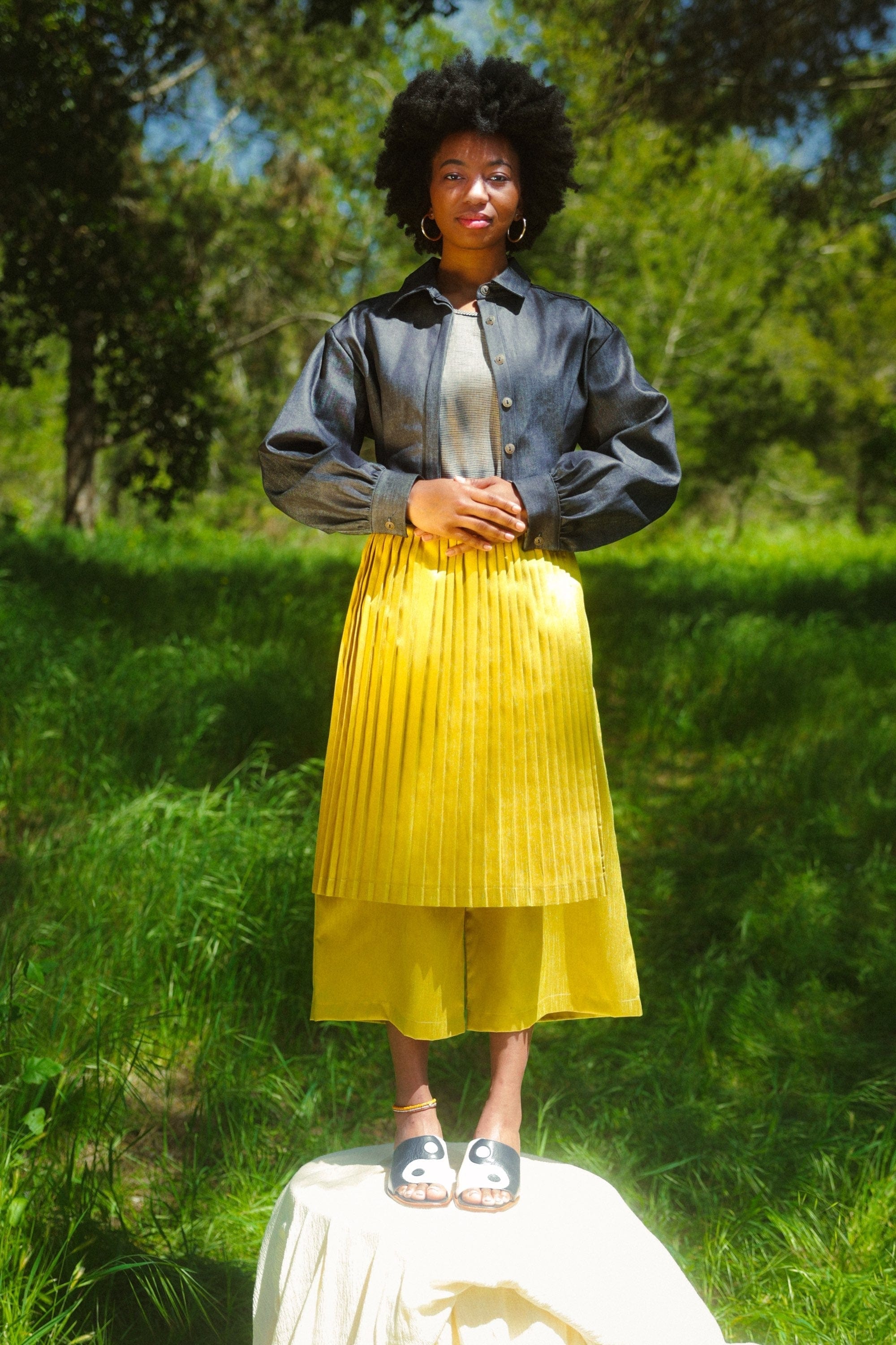 Zevelyn Jean Emerson Pleated Cropped Pant Emerson Pleated Cropped Pant Chartreuse